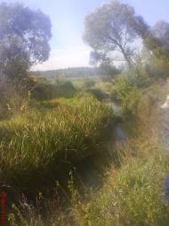 Чорногородка з panoramio.com