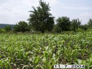 Нова Шибка з panoramio.com