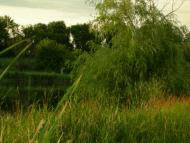 Дослідницьке з panoramio.com