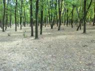 Вуглегірськ з panoramio.com