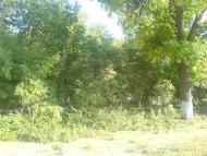 Городнє з panoramio.com