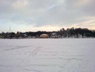 Борова з panoramio.com