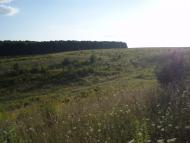 Підцурків з panoramio.com