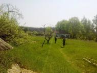 Обірки з panoramio.com