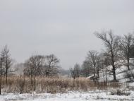 Борова з panoramio.com