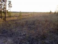 Студенок з panoramio.com