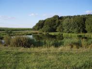 Спасів з panoramio.com