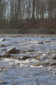 Микитинці з panoramio.com