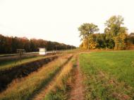 Сасинівка з panoramio.com