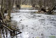 Терентіївка з panoramio.com