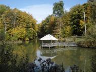 Лисогора з panoramio.com