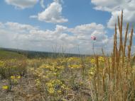 Кружилівка з panoramio.com