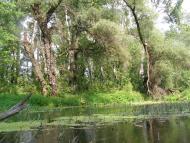 Криничне з panoramio.com