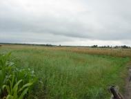 Вирка з panoramio.com