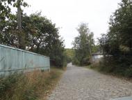 Антоніна - Останні фото