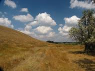 Шелюги з panoramio.com