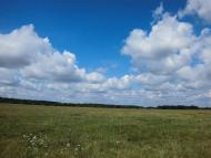 Ганнусине з panoramio.com