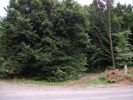 Юр'ямпіль з panoramio.com