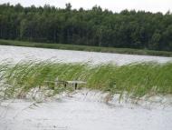 Острів'я з panoramio.com