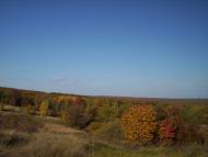 Нижні Синівці з panoramio.com