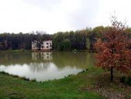 Гудя з panoramio.com