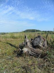Глинськ з panoramio.com - Глинск