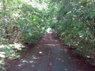 Пугачівка з panoramio.com