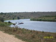 Євгенівка з panoramio.com