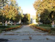 Борова з panoramio.com