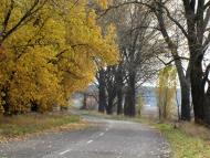 Устинкова Гребля з panoramio.com