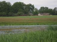 Дем'янці з panoramio.com