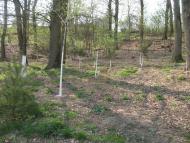 Нижні Ремети з panoramio.com