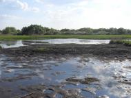 Мала Дівиця з panoramio.com