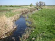 Веселоіванівське з panoramio.com