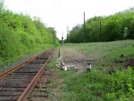 Дружба - Останні фото