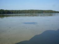 Заболоття з panoramio.com