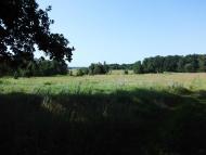 Ганнусине з panoramio.com