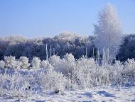 Великі Зозулинці з panoramio.com