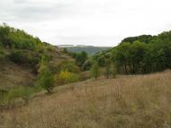 Велика Кужелева з panoramio.com