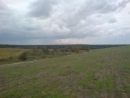 Вишняки з panoramio.com