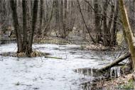 Терентіївка з panoramio.com