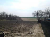 Рогачі з panoramio.com