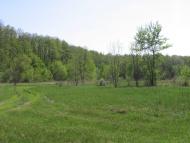 Городнє з panoramio.com