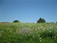 Чулатів з panoramio.com