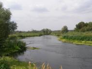 Криничне з panoramio.com