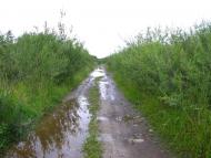 Старі Богородчани з panoramio.com