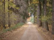 Маньківка з panoramio.com