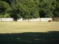 Совєтський з panoramio.com