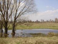 Травневе з panoramio.com