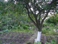 Білецьківка з panoramio.com